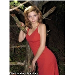 desertrose_irbxu3.jpg
Poet zobrazen: 1681 (6552.2308 dn) pr.=0.2566
Rozmr: 450 x 600 pixel
Velikost: 63.994 kB