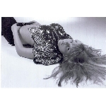 missnet-sejmout0008.jpg
Počet zobrazení: 1516 (6731.2742 dní) pr.=0.2252
Rozměr: 874 x 600 pixel
Velikost: 73.71 kB