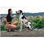 doga-small.jpg
Poet zobrazen: 1517 (6583.8074 dn) pr.=0.2304
Rozmr: 600 x 421 pixel
Velikost: 52.153 kB