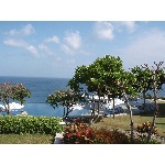 p8200177.jpg
Počet zobrazení: 1184 (6385.6205 dní) pr.=0.1854
Rozměr: 600 x 450 pixel
Velikost: 279.146 kB