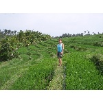 p8210836.jpg
Po�et zobrazen�: 1159 (6318.0910 dn�) pr.=0.1834
Rozm�r: 600 x 450 pixel
Velikost: 273.27 kB