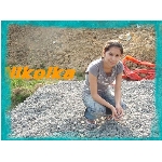 Nikola Okruhlicov�