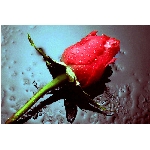 Zobrazeno: 2792 (6568.3851 dn) pr.=0.4251 
Znmka: 1.9132 (703 x) 
SMS bod: 0/0