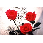 jf-02869.jpg
Poet zobrazen: 3767 (6520.4188 dn) pr.=0.5777
Rozmr: 350 x 233 pixel
Velikost: 28.413 kB
