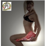 missnet-kyta.jpg
Poet zobrazen: 1151 (6565.5058 dn) pr.=0.1753
Rozmr: 510 x 531 pixel
Velikost: 25.113 kB
