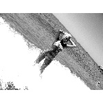d7.jpg
Poet zobrazen: 1397 (5549.6638 dn) pr.=0.2517
Rozmr: 600 x 450 pixel
Velikost: 172.954 kB