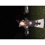 dsc01214.jpg
Po�et zobrazen�: 1196 (6060.9802 dn�) pr.=0.1973
Rozm�r: 600 x 450 pixel
Velikost: 231.687 kB